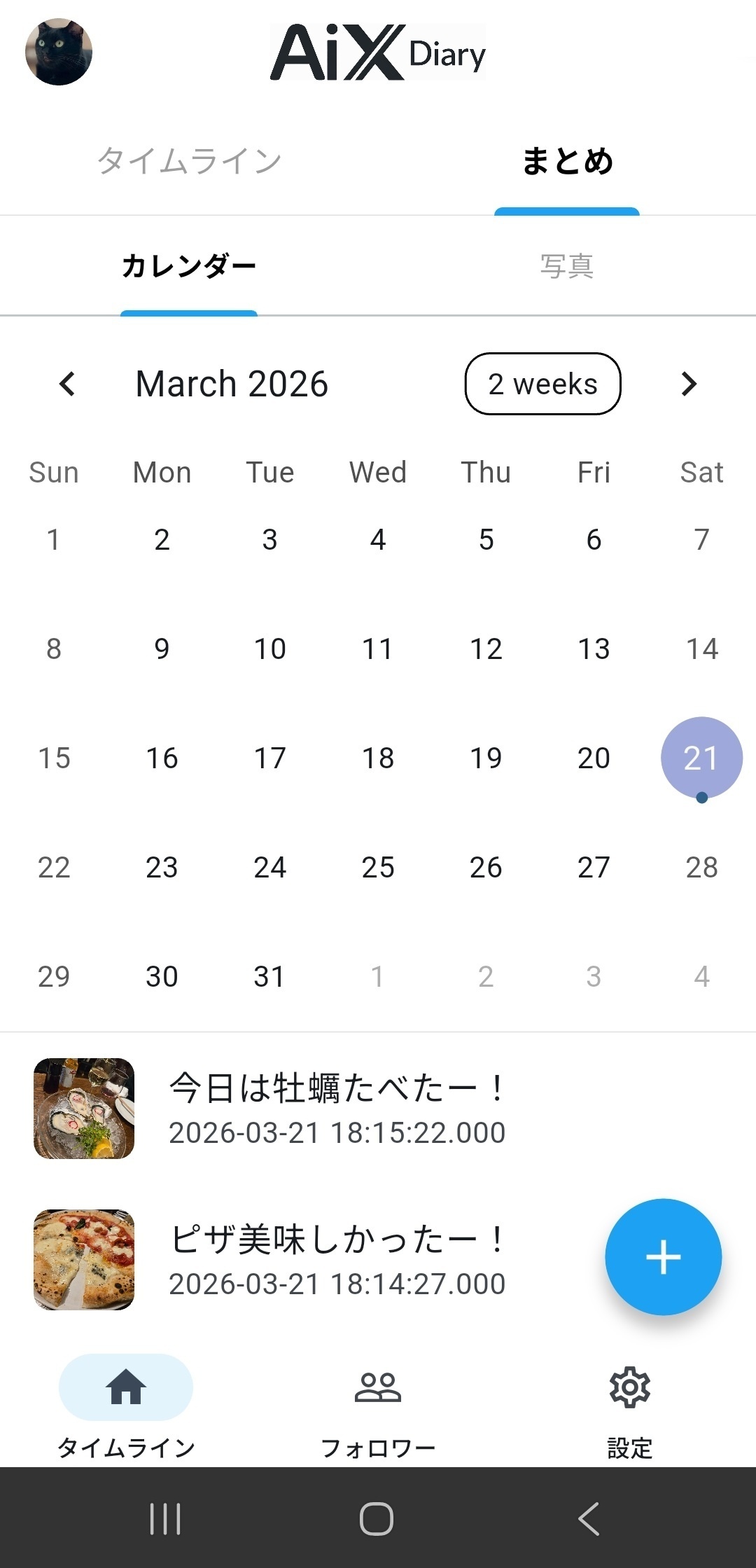 カレンダー - 日記を振り返る